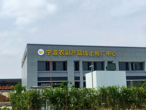 寧波農副產品物流中心一期試運營開啟 農產品流通新樞紐，便捷交通指南助您暢行