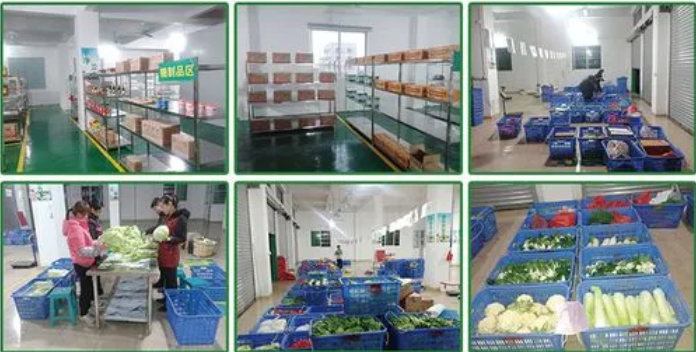 煜鮮農副產品配送 從田間到餐桌，守護您的每一餐新鮮